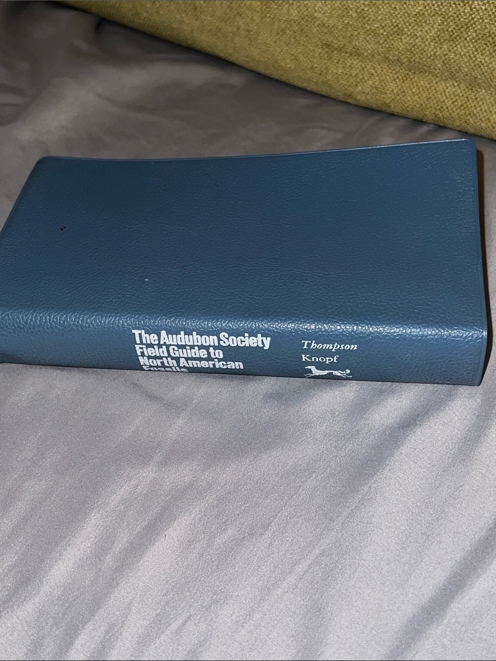 Audubon Society Field Guide to North American Fossils 1982